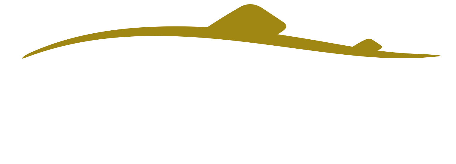 hookuna logo white
